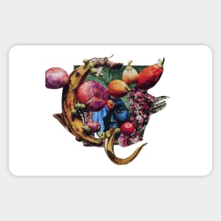 Fruit Vendor Sticker